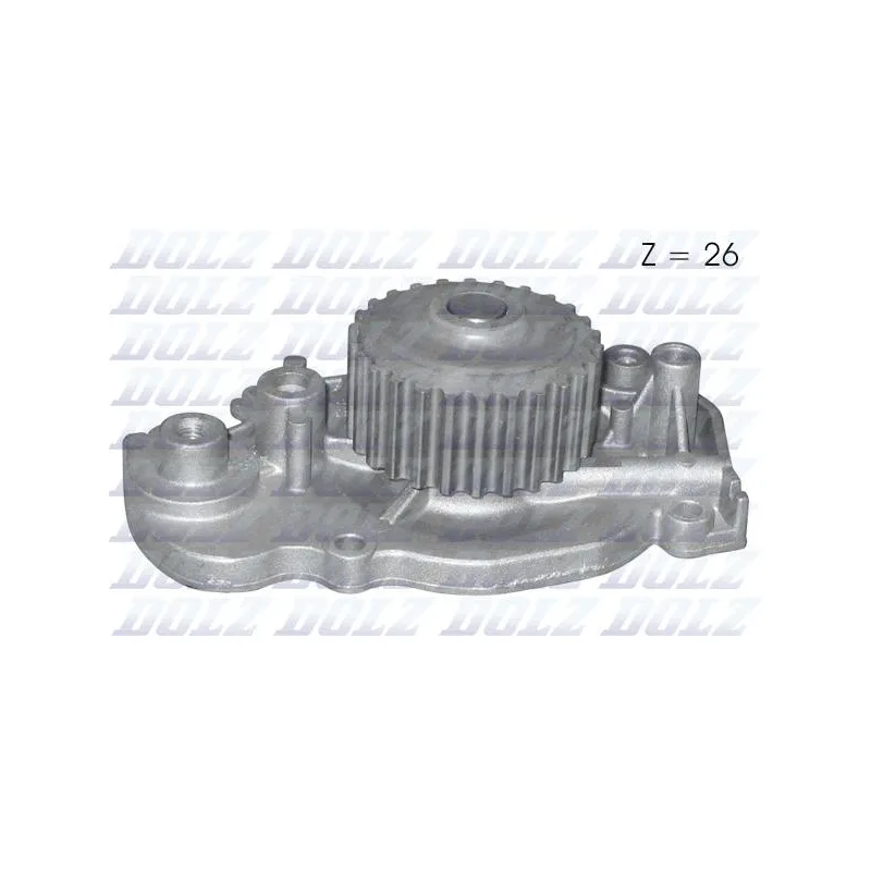 Pompe à eau DOLZ H127