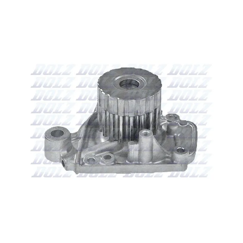 Pompe à eau DOLZ H129