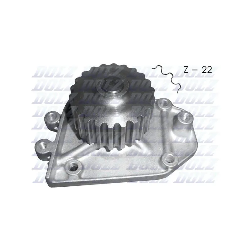 Pompe à eau DOLZ H137