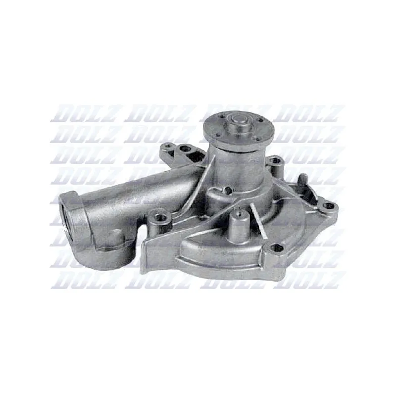 Pompe à eau DOLZ H205