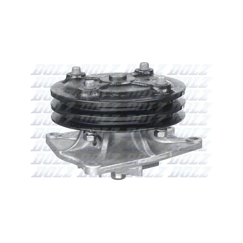 Pompe à eau DOLZ H208
