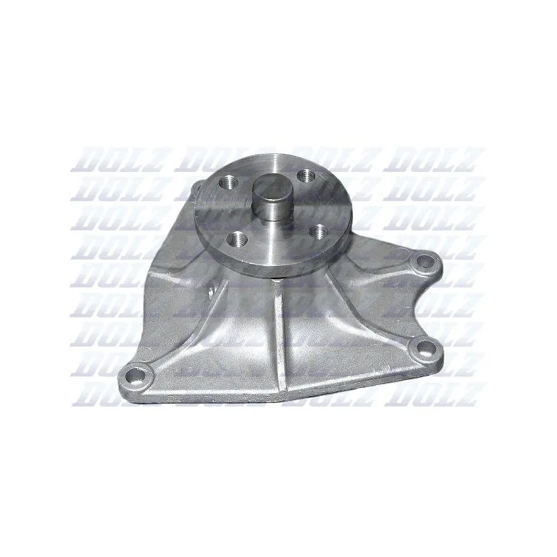 Pompe à eau DOLZ H208SP