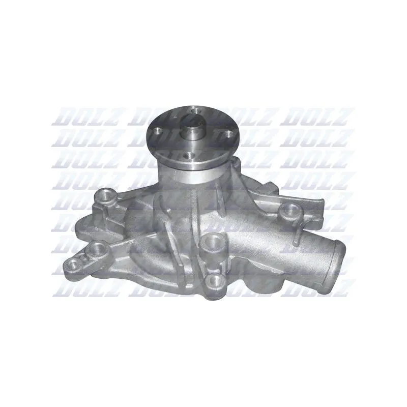 Pompe à eau DOLZ H209