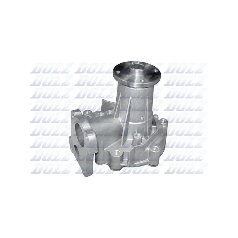 Pompe à eau DOLZ H212