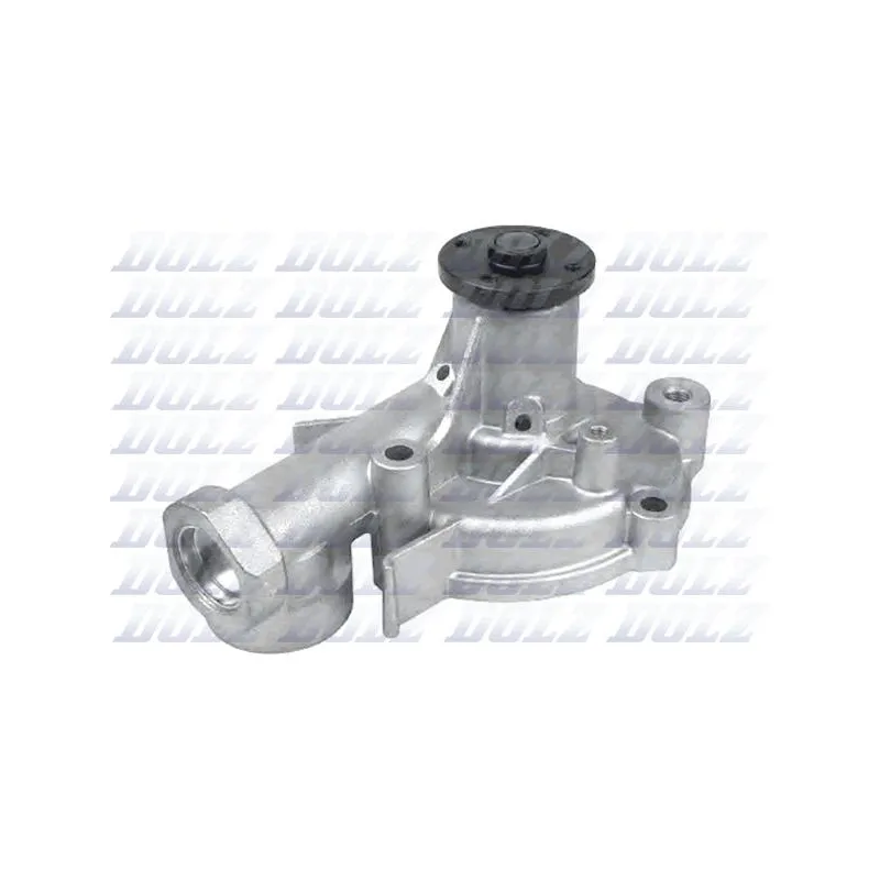 Pompe à eau DOLZ H214