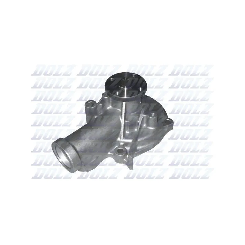 Pompe à eau DOLZ H216