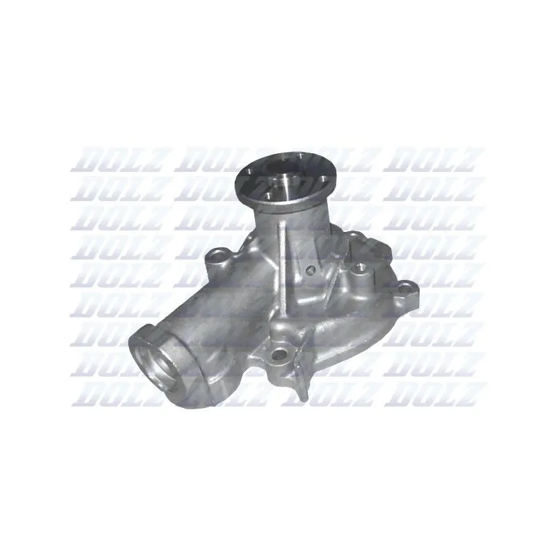 Pompe à eau DOLZ H217