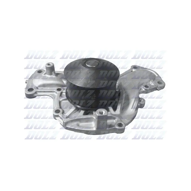 Pompe à eau DOLZ H219