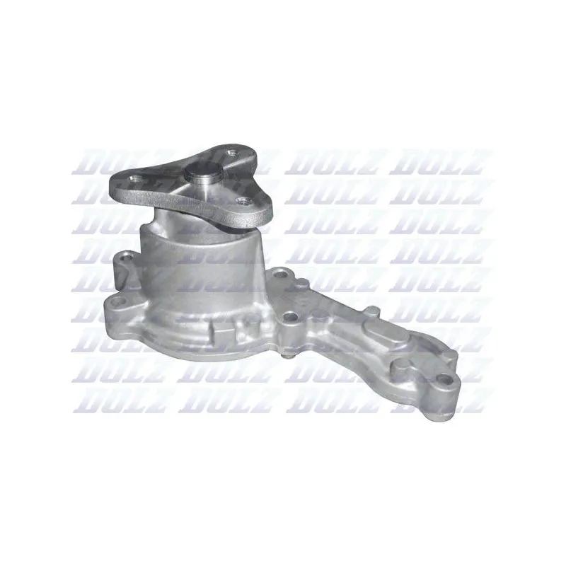 Pompe à eau DOLZ H228