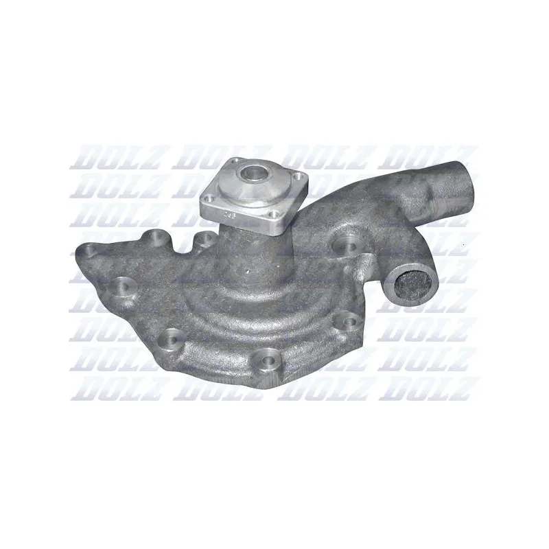 Pompe à eau DOLZ L109