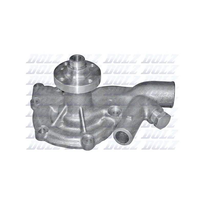 Pompe à eau DOLZ L115
