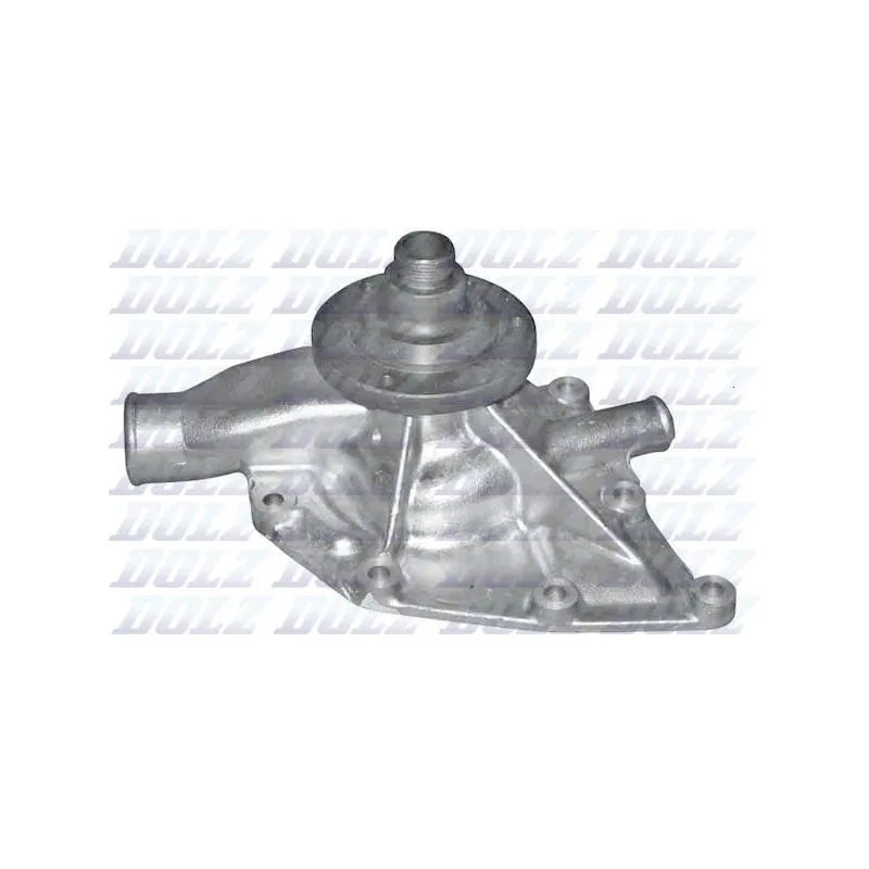 Pompe à eau DOLZ L116