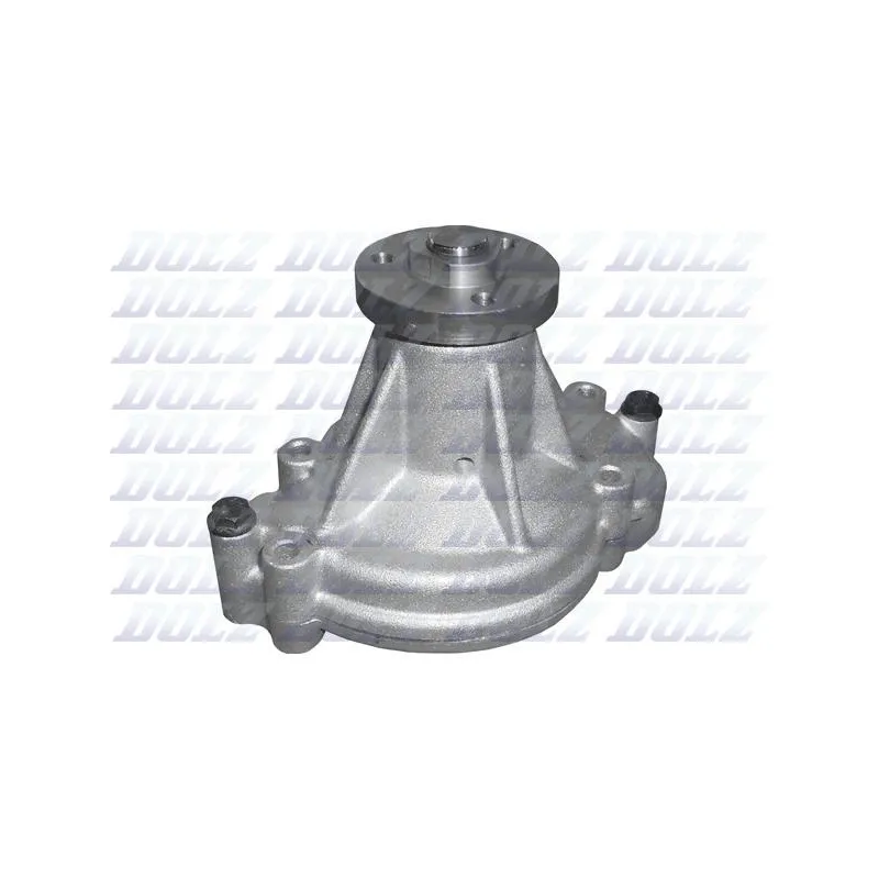 Pompe à eau DOLZ L118