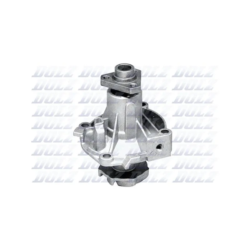 Pompe à eau DOLZ L120