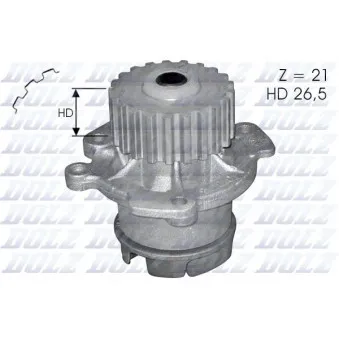 Pompe à eau DOLZ L123