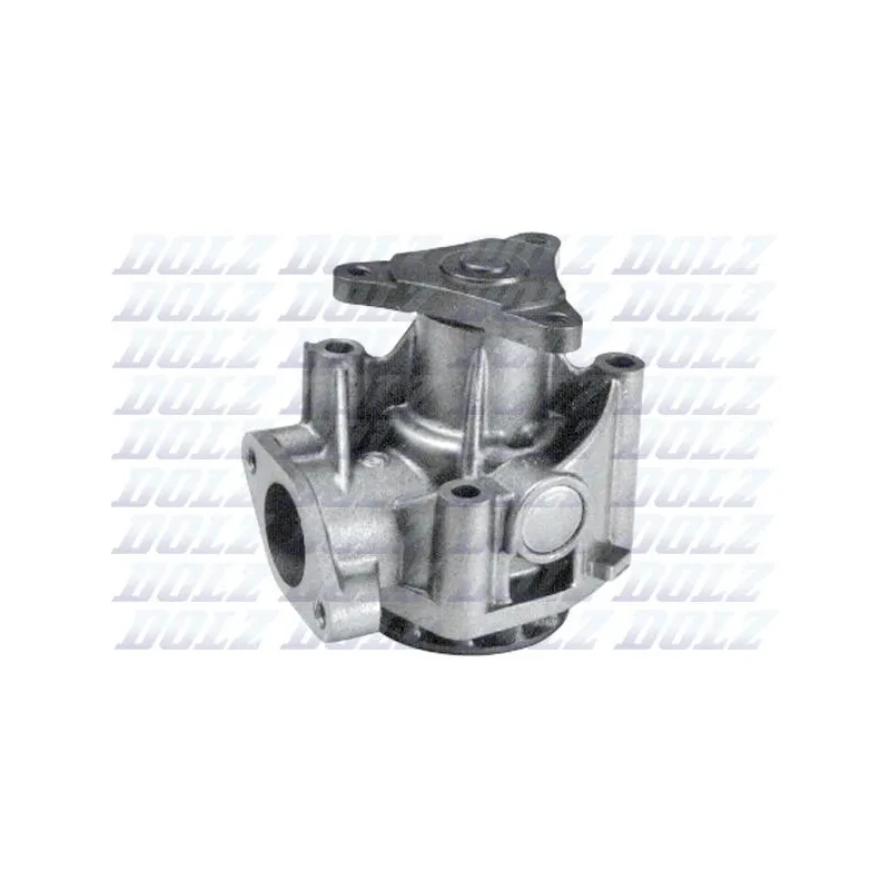 Pompe à eau DOLZ L165