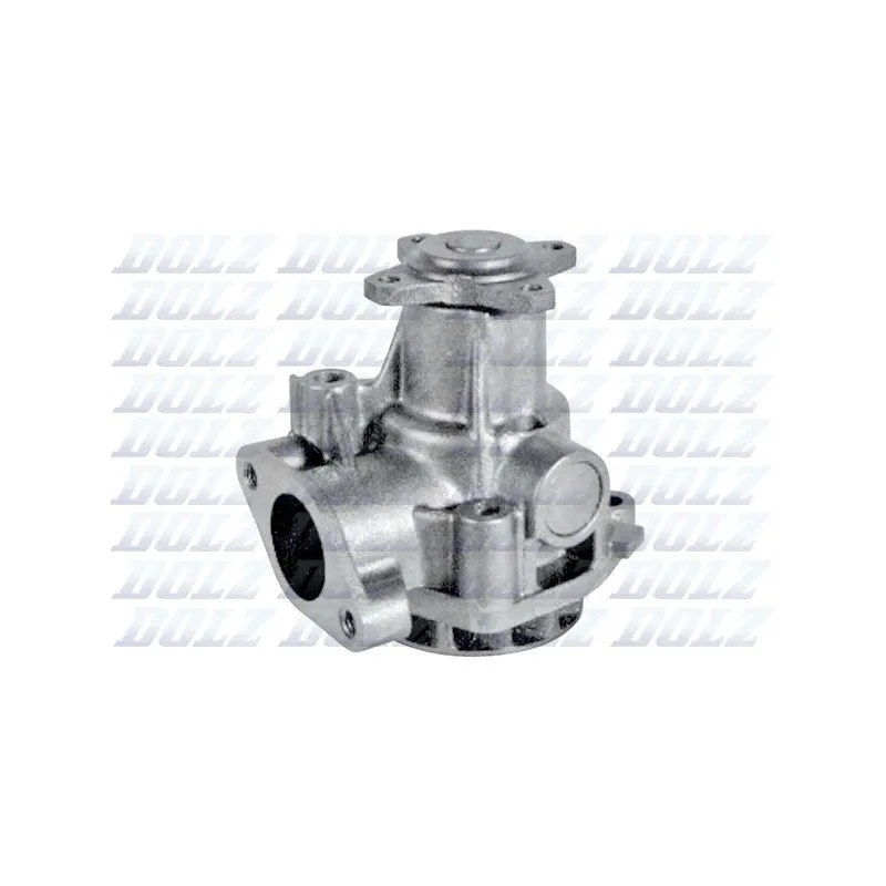Pompe à eau DOLZ L186