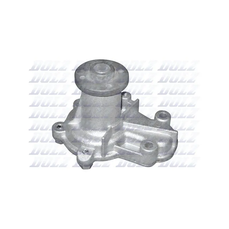 Pompe à eau DOLZ M133