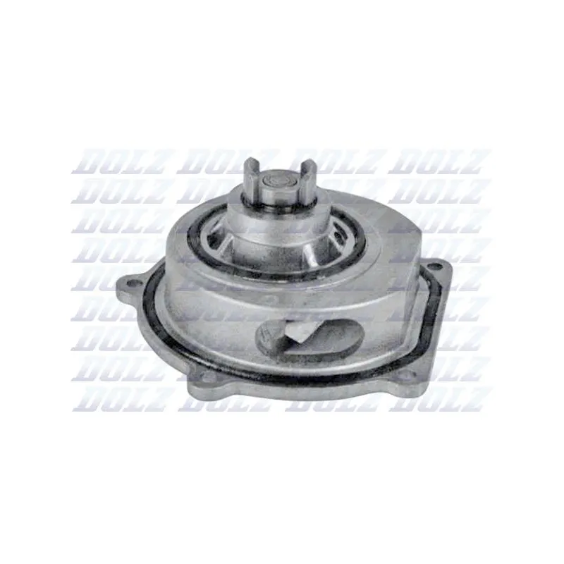 Pompe à eau DOLZ M145