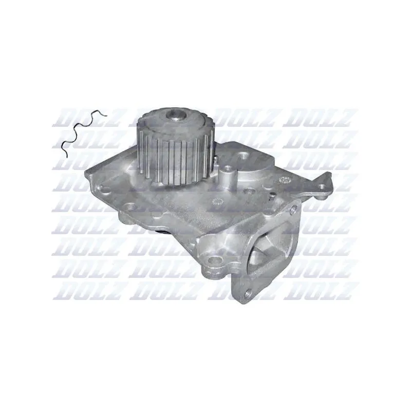 Pompe à eau DOLZ M153