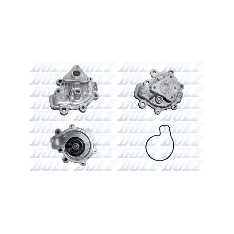 Pompe à eau DOLZ M155