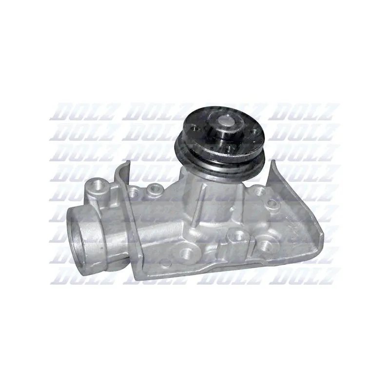 Pompe à eau DOLZ M162