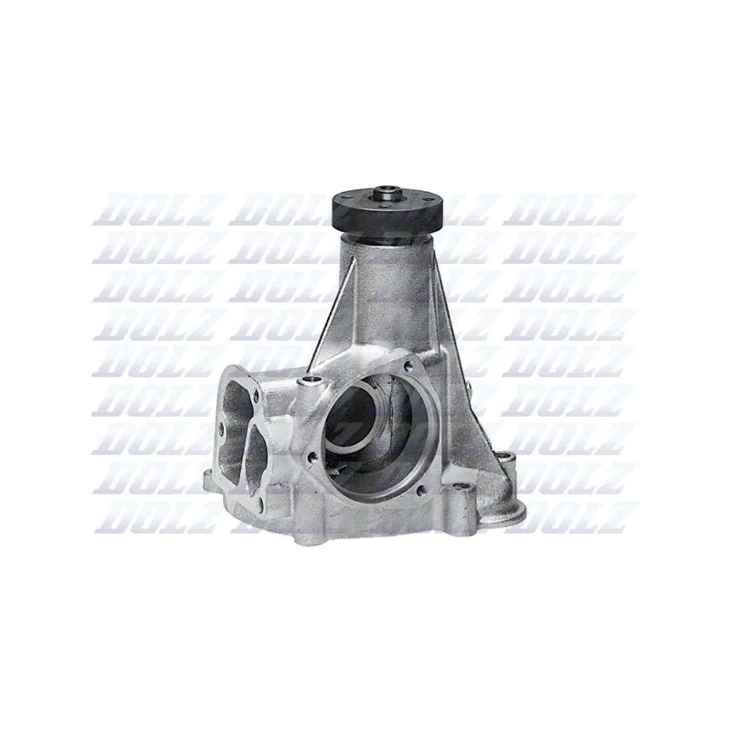 Pompe à eau DOLZ M170
