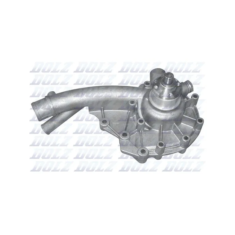 Pompe à eau DOLZ M172
