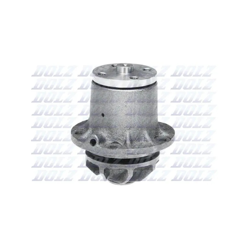 Pompe à eau DOLZ M185