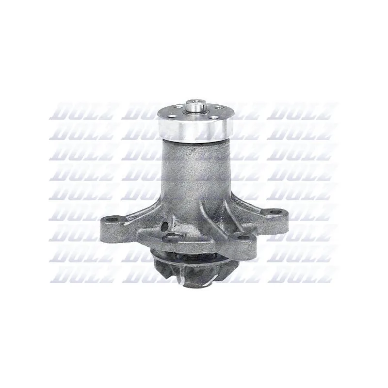 Pompe à eau DOLZ M187