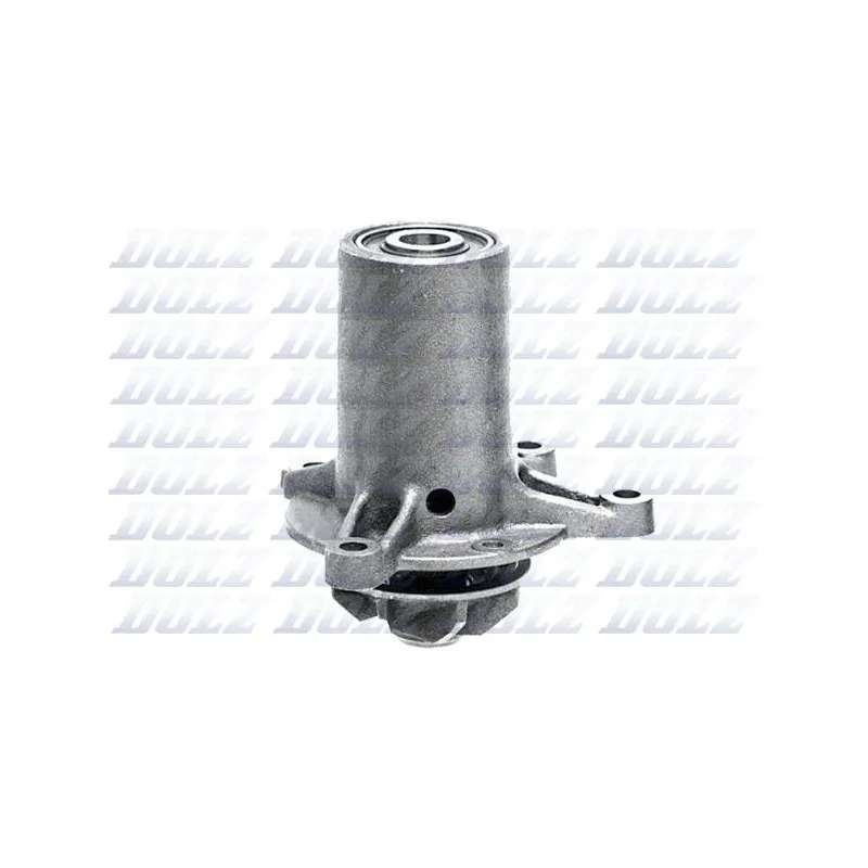 Pompe à eau DOLZ M188