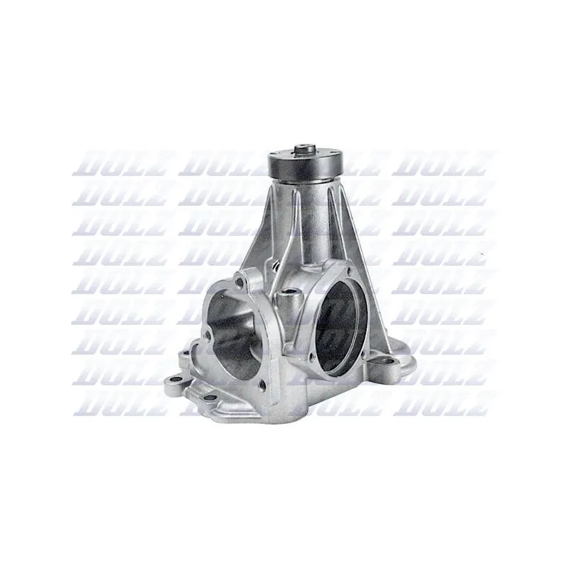 Pompe à eau DOLZ M196