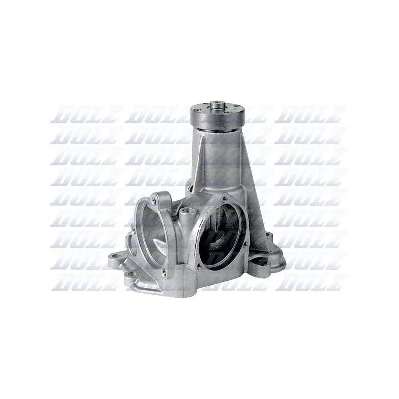 Pompe à eau DOLZ M197