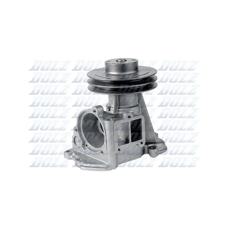 Pompe à eau DOLZ M199