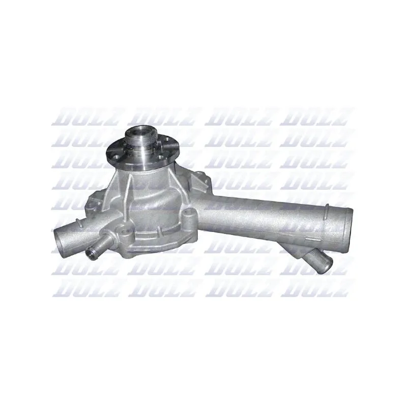 Pompe à eau DOLZ M204