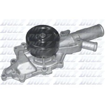 Pompe à eau DOLZ M214