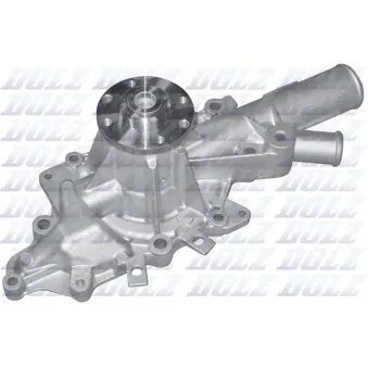 Pompe à eau DOLZ M221