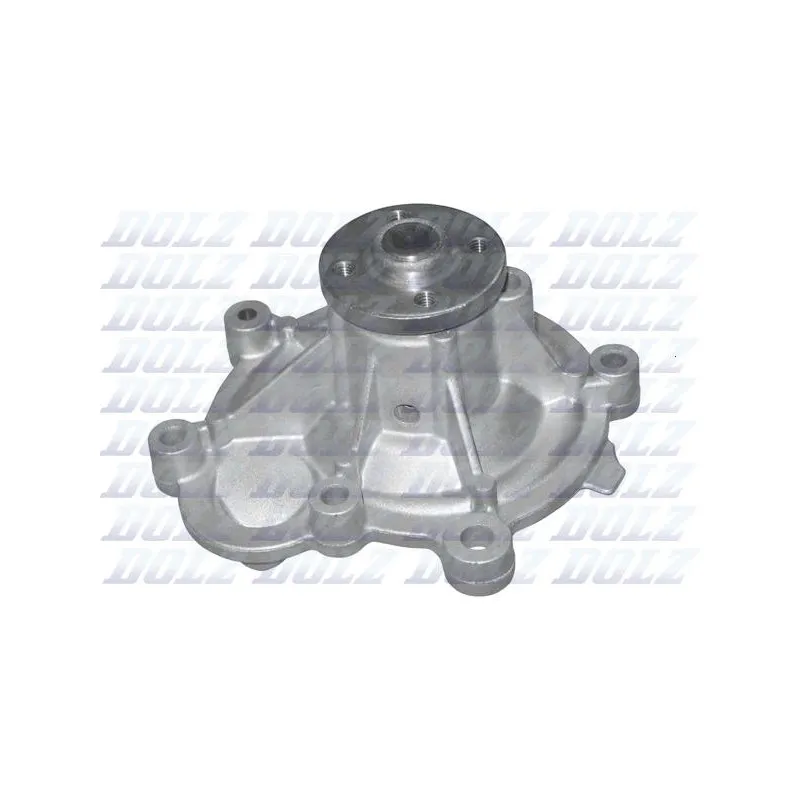 Pompe à eau DOLZ M222