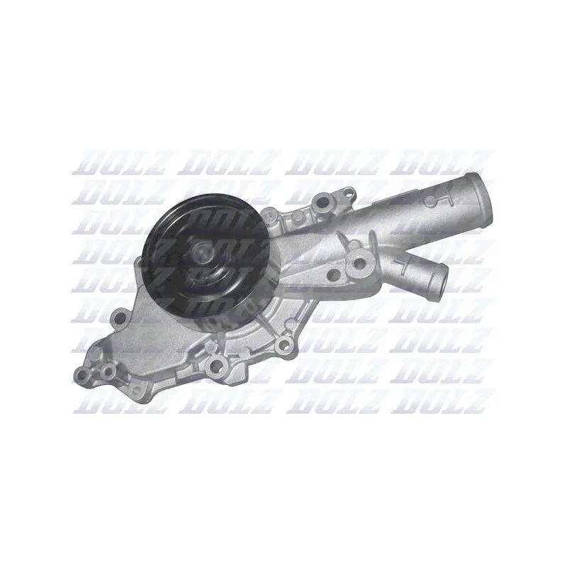 Pompe à eau DOLZ M224