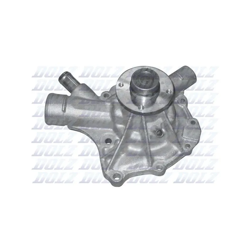 Pompe à eau DOLZ M225