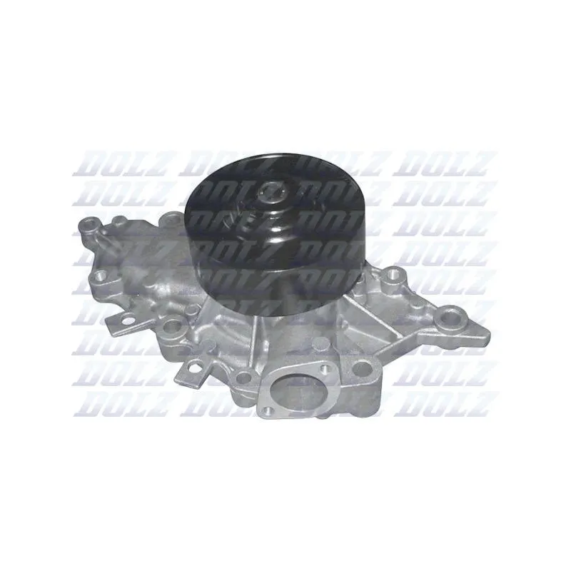 Pompe à eau DOLZ M226