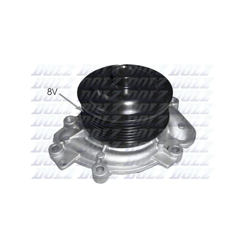 Pompe à eau DOLZ M230