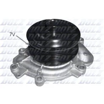 Pompe à eau DOLZ M231
