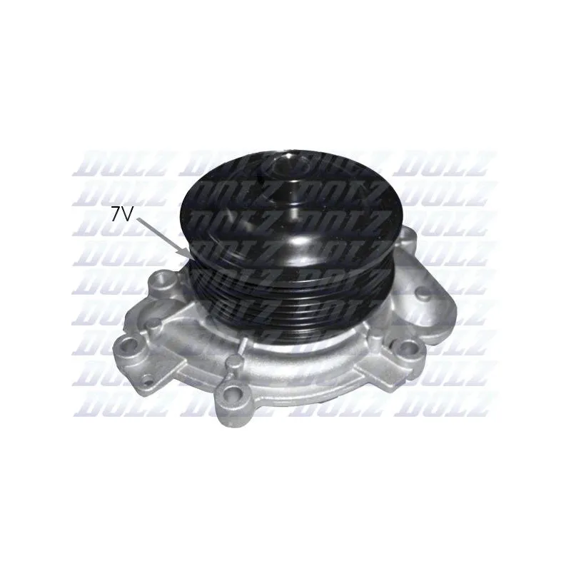 Pompe à eau DOLZ M231