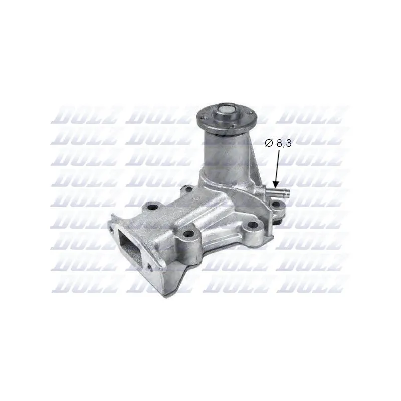 Pompe à eau DOLZ M235