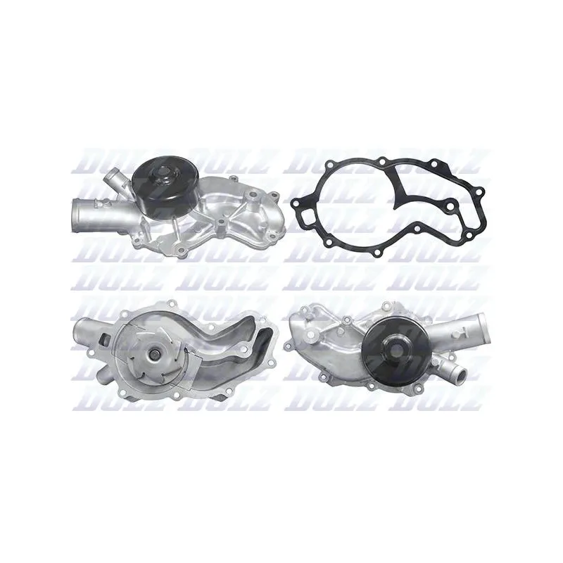 Pompe à eau DOLZ M245