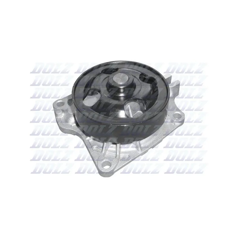 Pompe à eau DOLZ M470