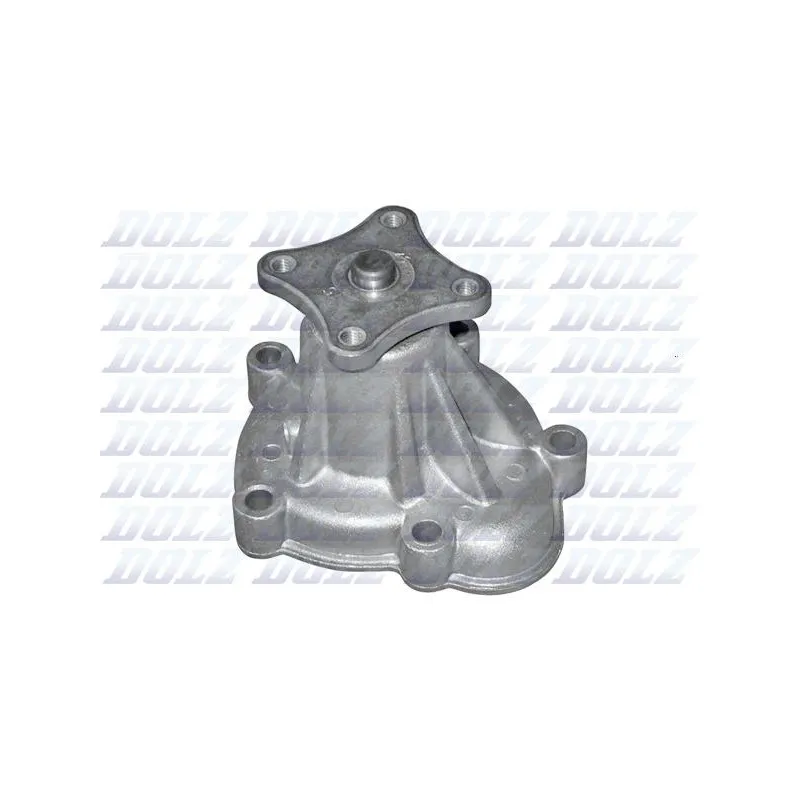 Pompe à eau DOLZ N100