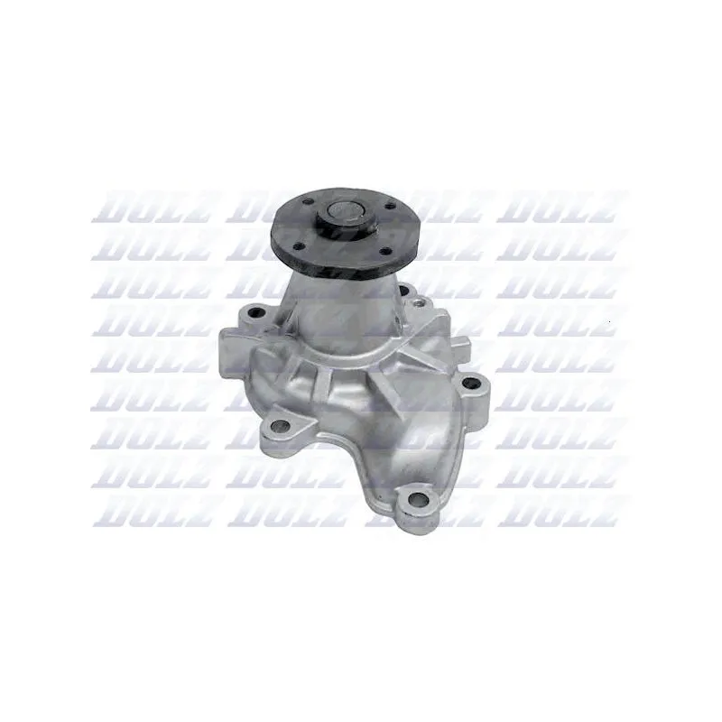 Pompe à eau DOLZ N101