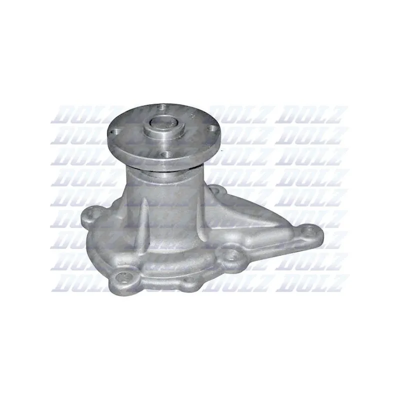Pompe à eau DOLZ N102